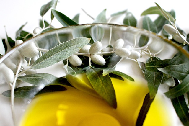 En guide til at forlænge levetiden af dit oliventræ: Pleje og vedligeholdelsestips