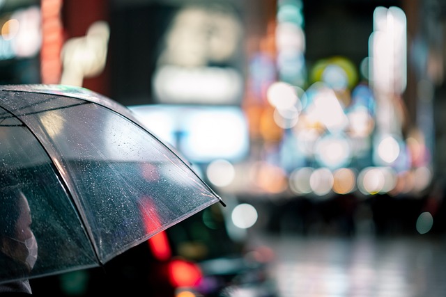 Act Nordic paraplyholder: Hold styr på paraplyerne og undgå dryp på gulvet